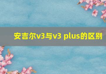 安吉尔v3与v3 plus的区别